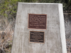 P1000899