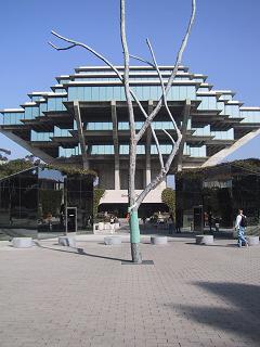 Geisel library and the silent tree