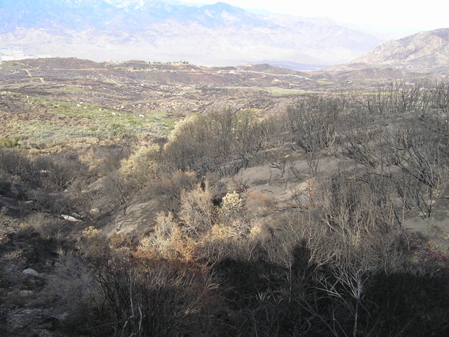 PC130243.JPG
