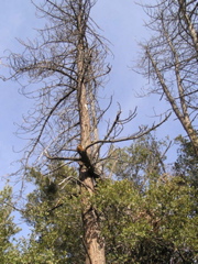 PC130190.JPG