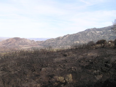 PC130236.JPG