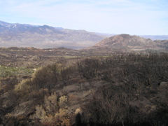 PC130238.JPG
