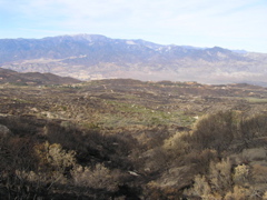 PC130239.JPG