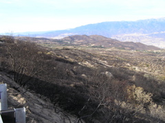 PC130241.JPG